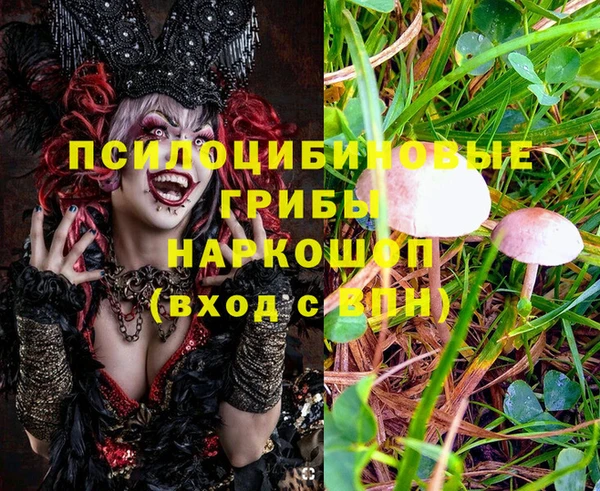 каннабис Алексин